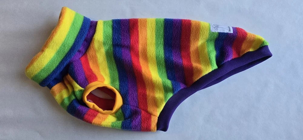 Rainbow Parade, Fleece Vest