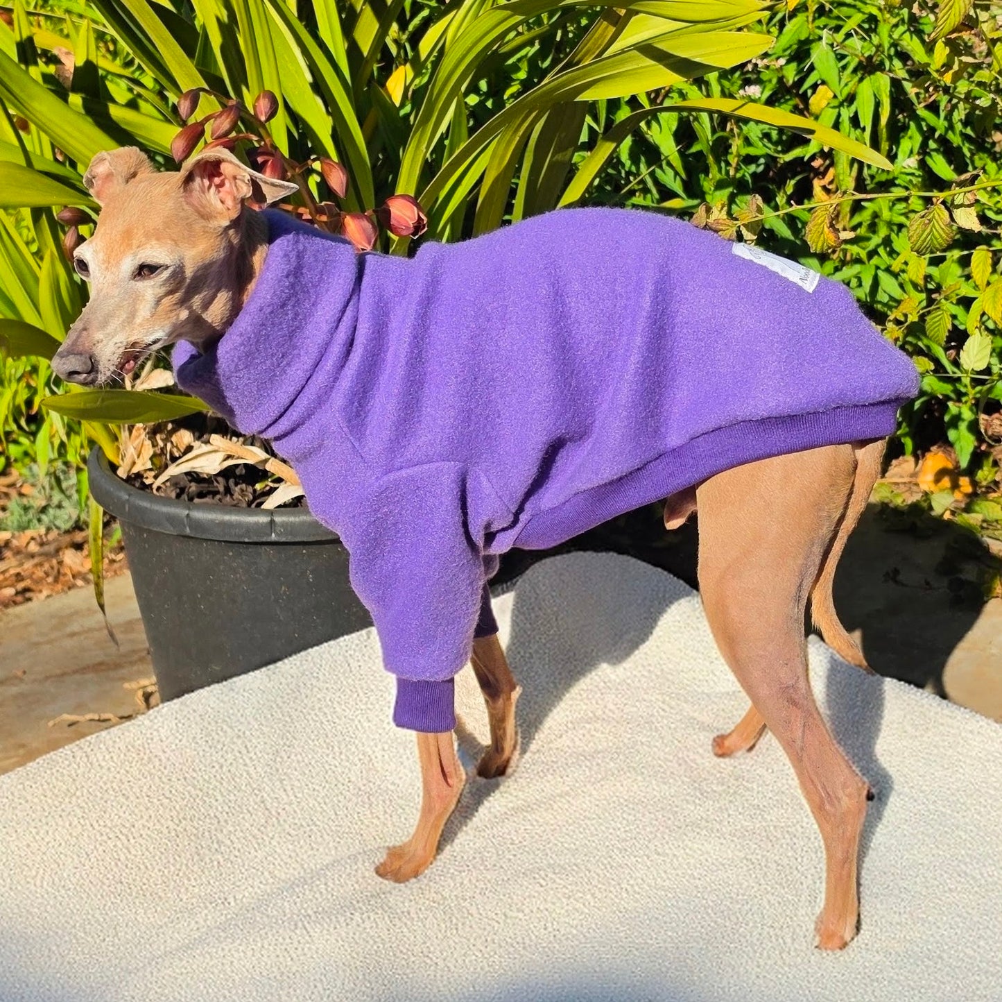 The Regal, Violet Polar Fleece Sweater