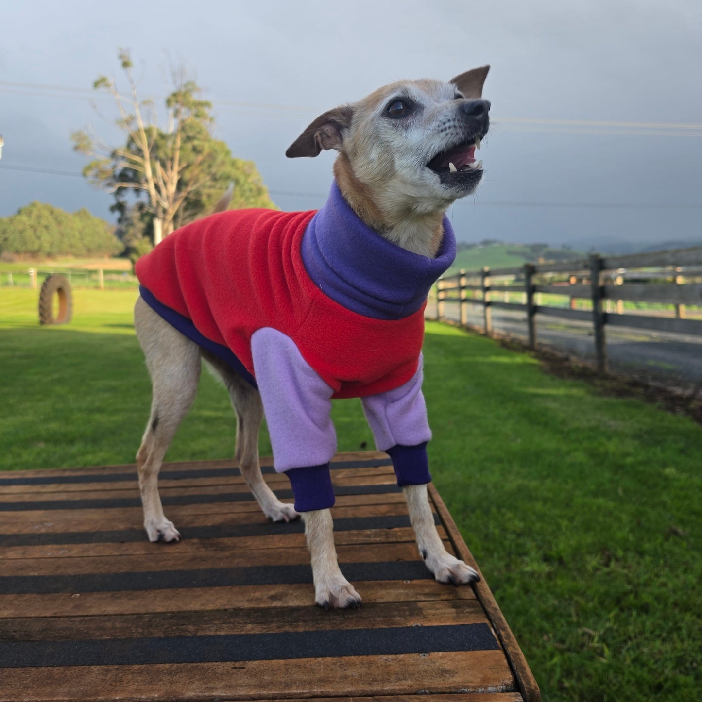 Miss Darcy Polar Fleece Sweater