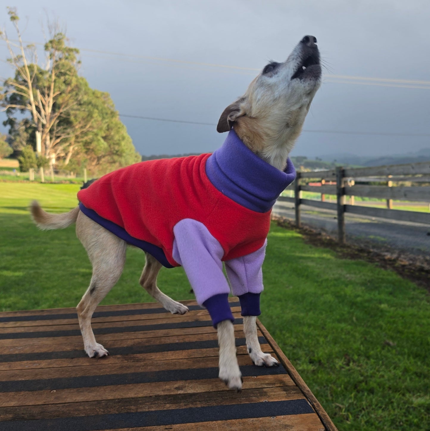 Miss Darcy Polar Fleece Sweater