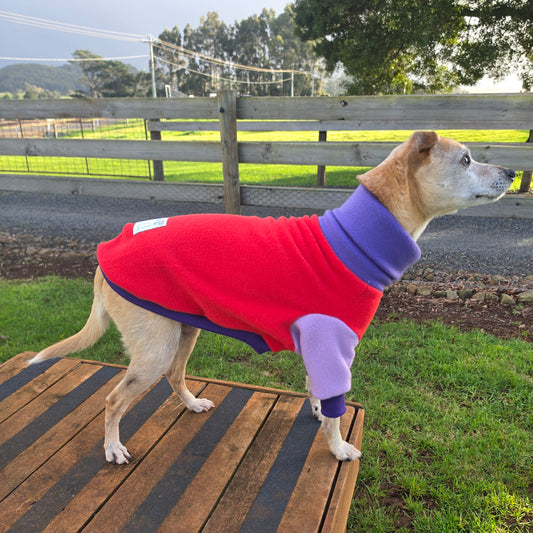 Miss Darcy Polar Fleece Sweater