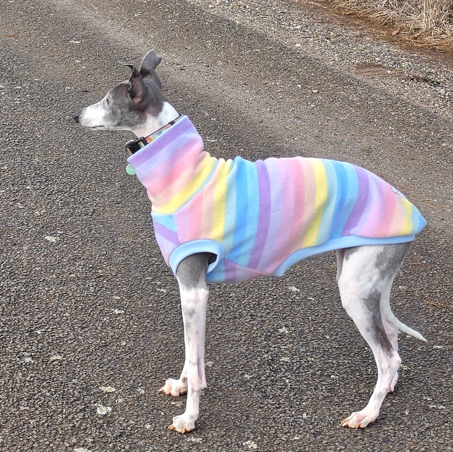 Pastel Parade Polar Fleece