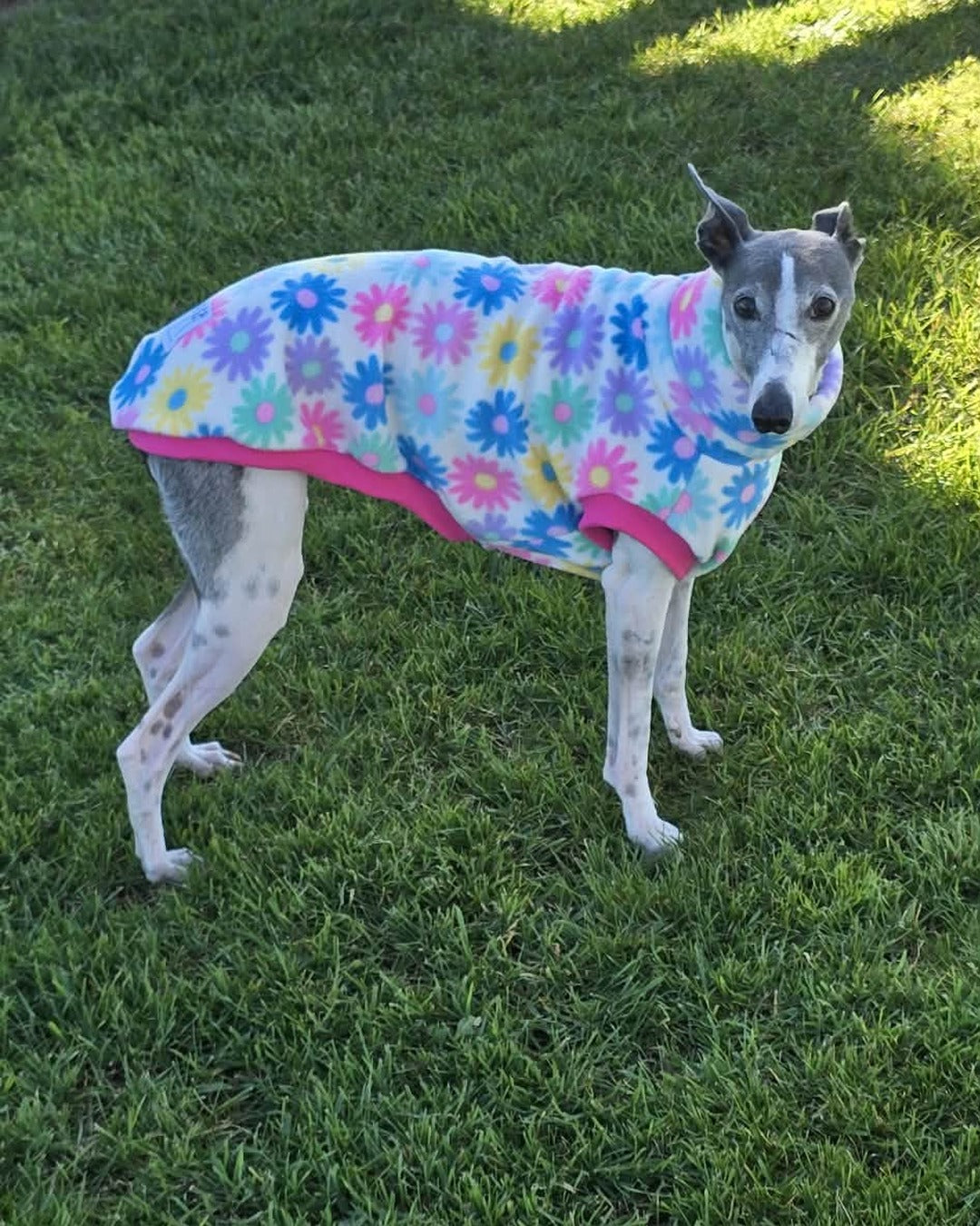 Spring Daisy Polar Fleece