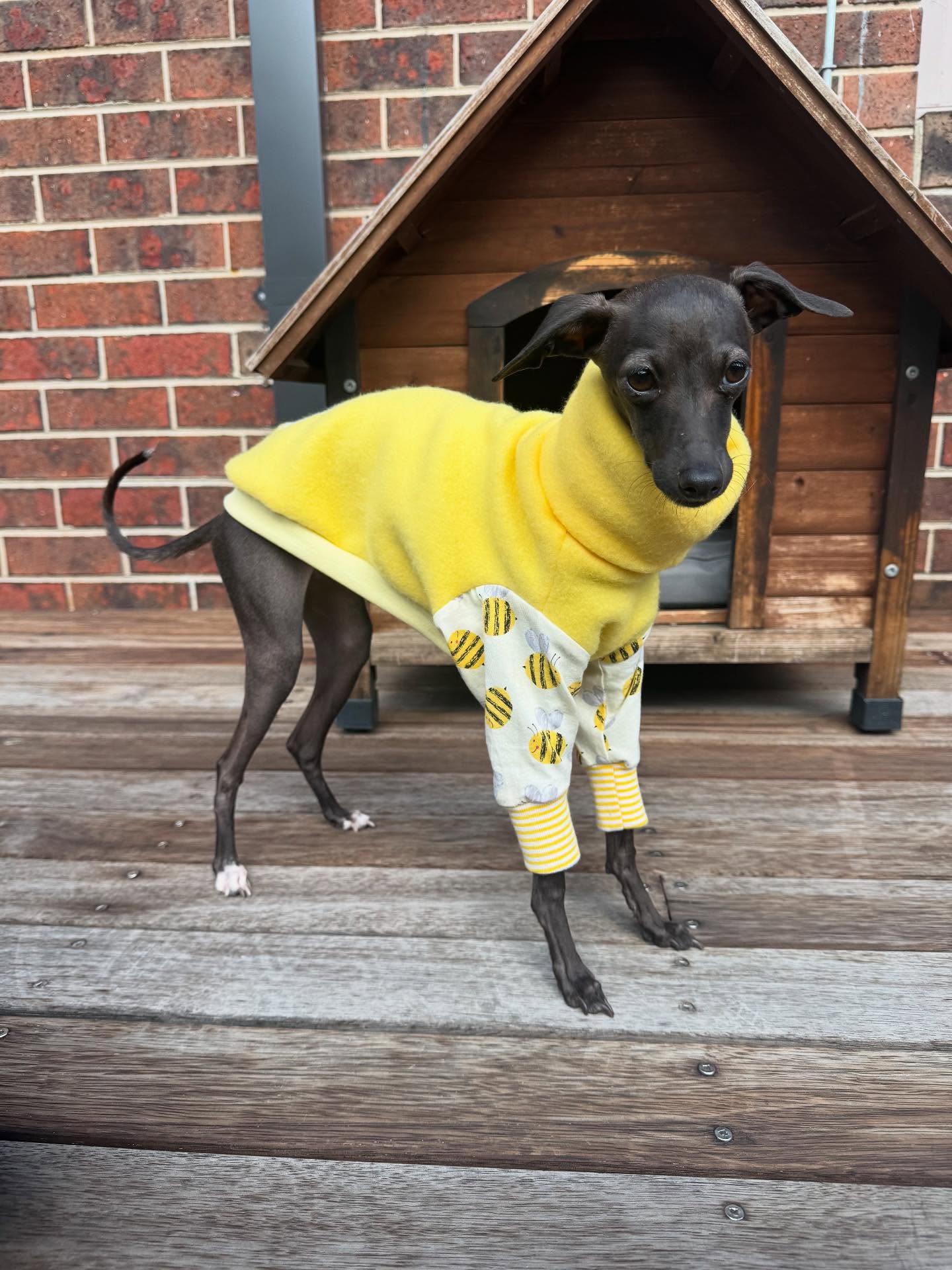 Buzzin’ into Style 🐝