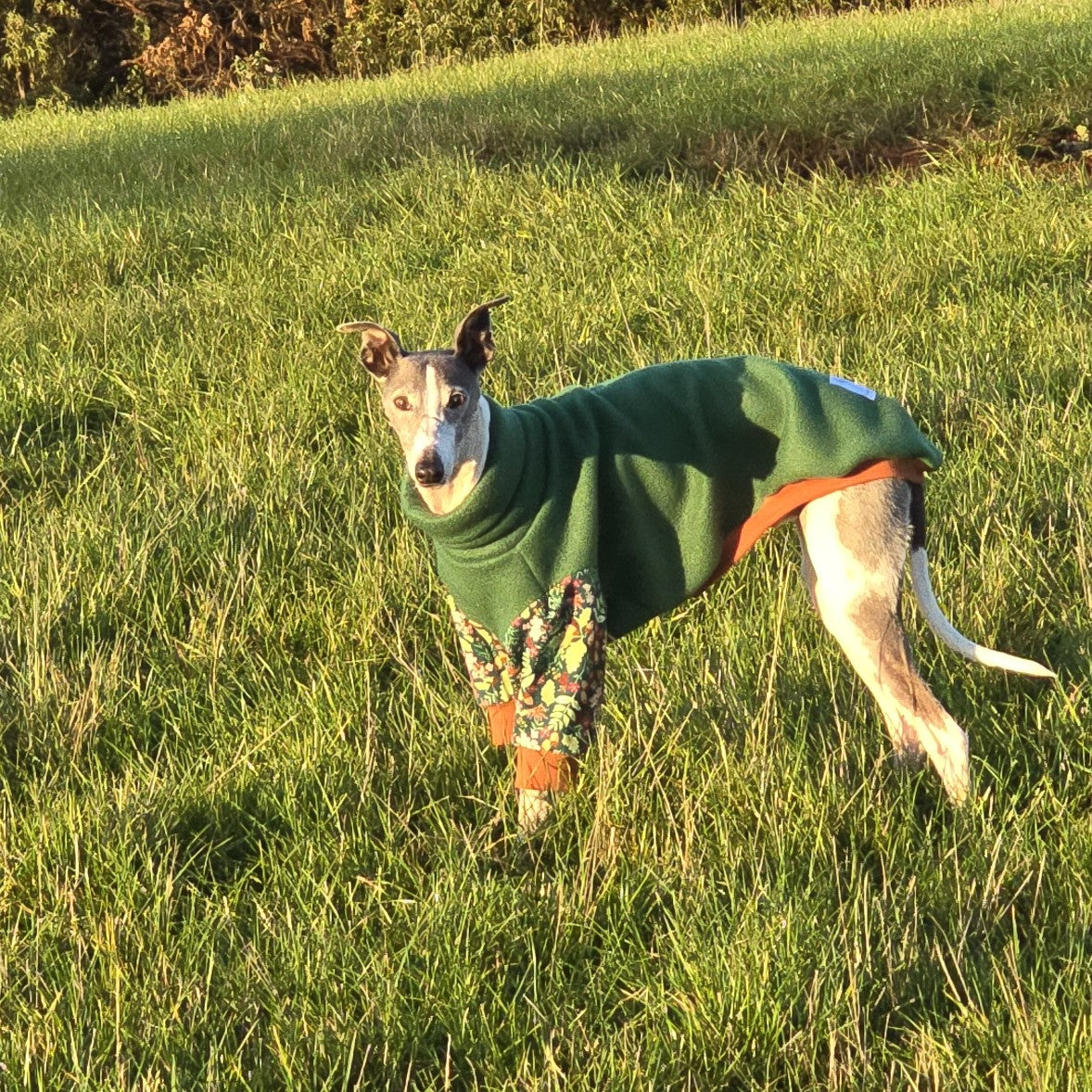 The Botanist Polar Fleece Sweater