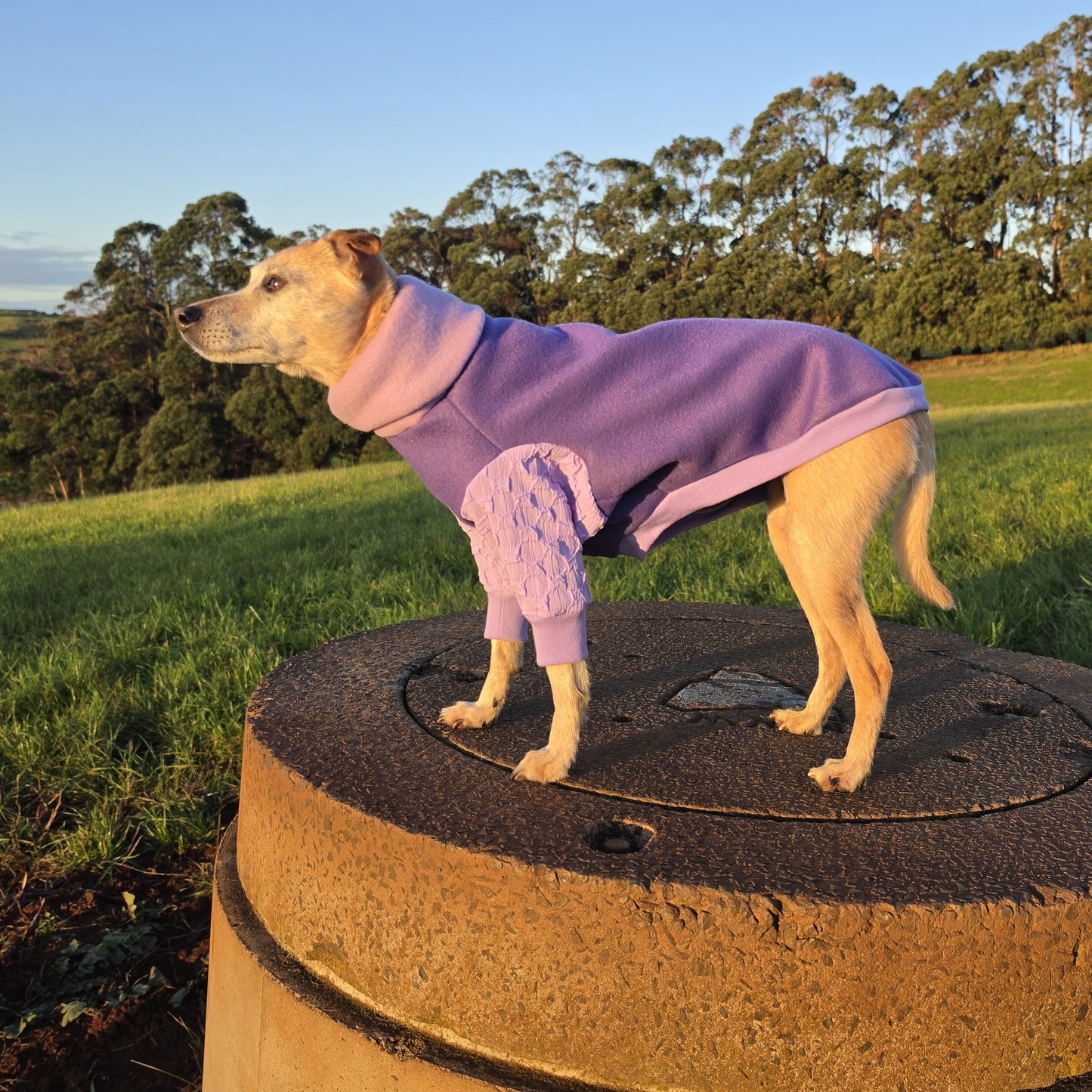 The Lavender Fields Polar Fleece Sweater