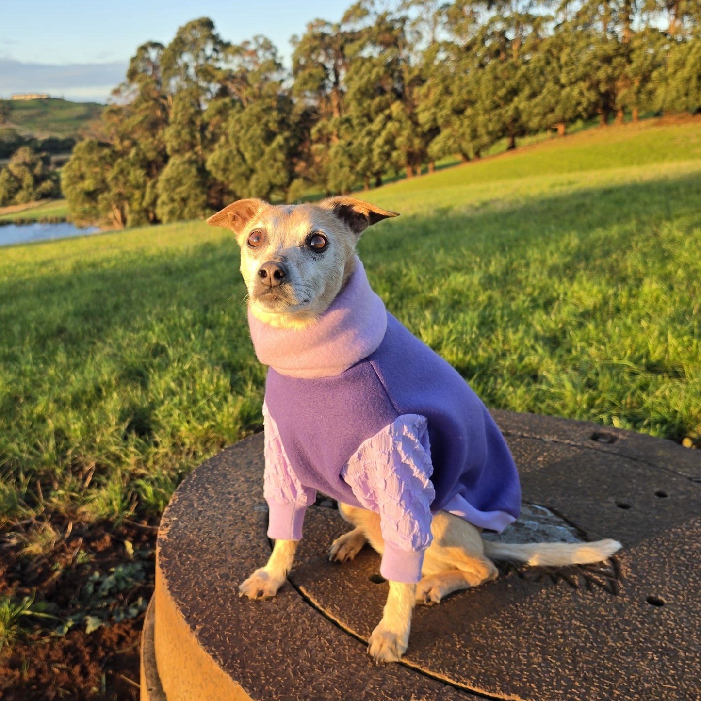 The Lavender Fields Polar Fleece Sweater