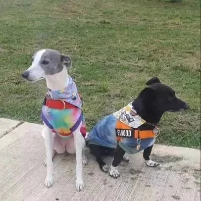 Rainbow Tie-Dye Vest