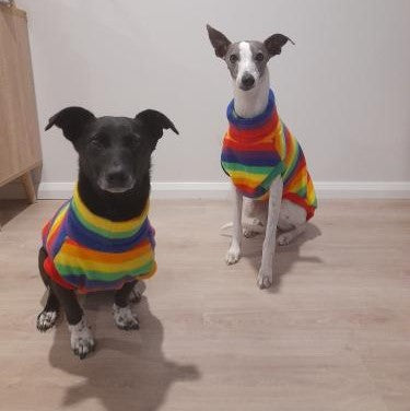 Rainbow Parade, Fleece Vest