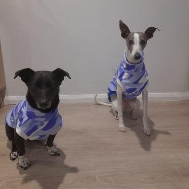 Creating Waves Sleeveless Vest