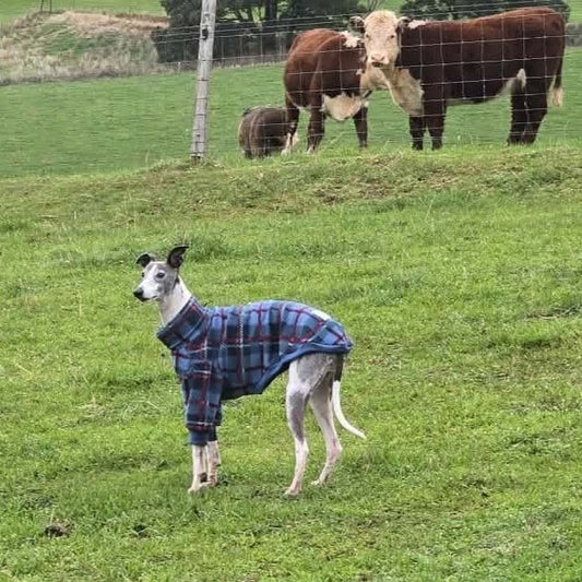 The Highland Hearth Polar Fleece Sweater