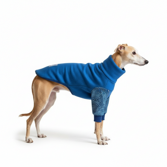 Water Dreaming, Snug now, Sunshine next.