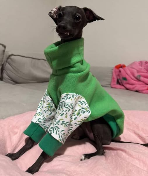 The Willow Polar Fleece snuggle suit.