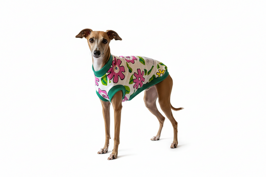 Floral Italian Greyhound Vest