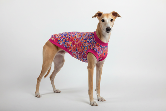 Emu Dreaming, Rashie vest