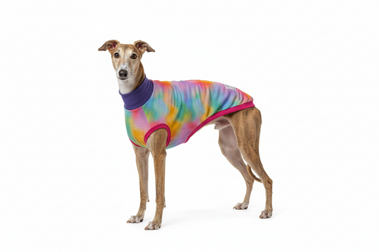 Tie-Dye Rashie Vest - Greyhound