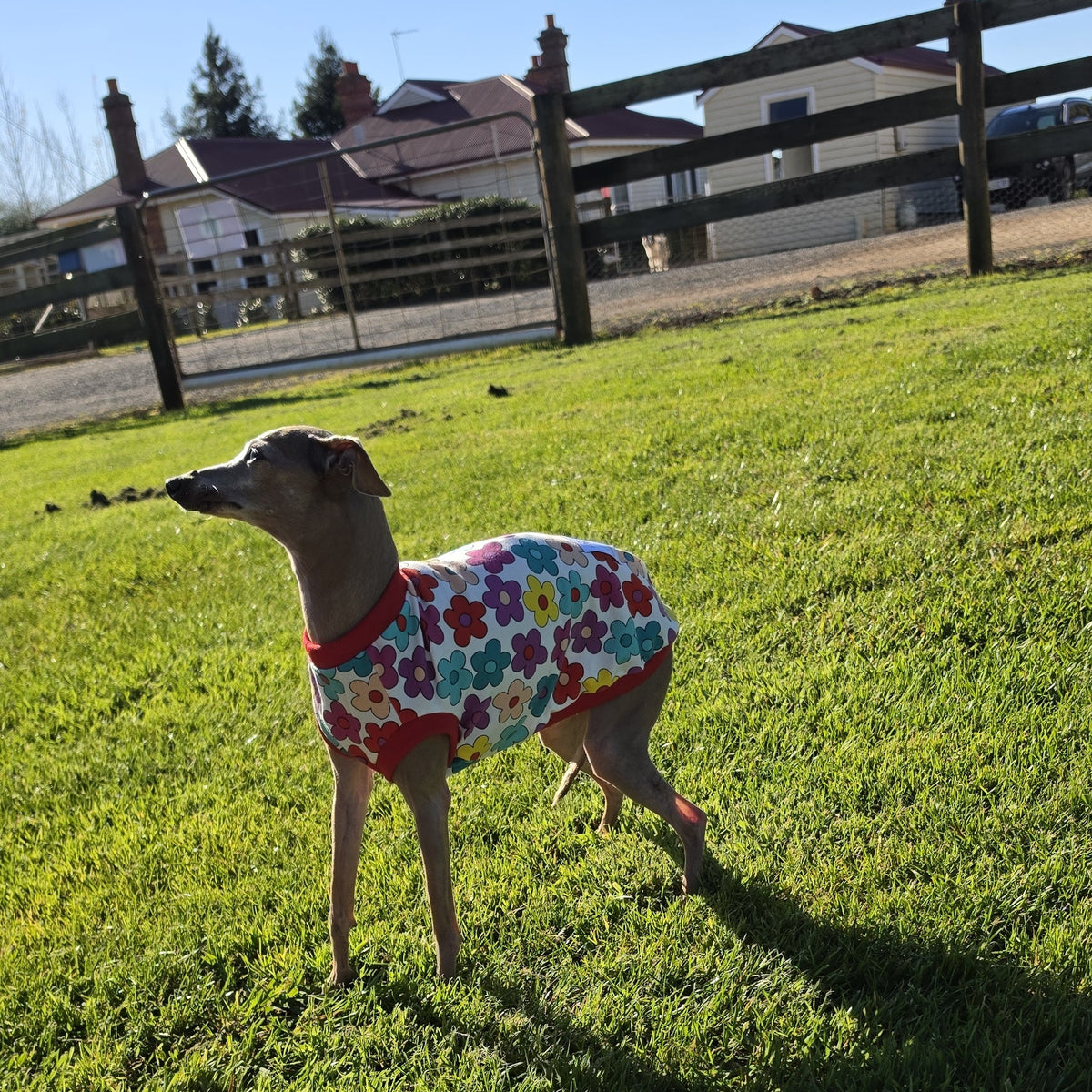Spring Burst Cotton Spandex Rashie Vest