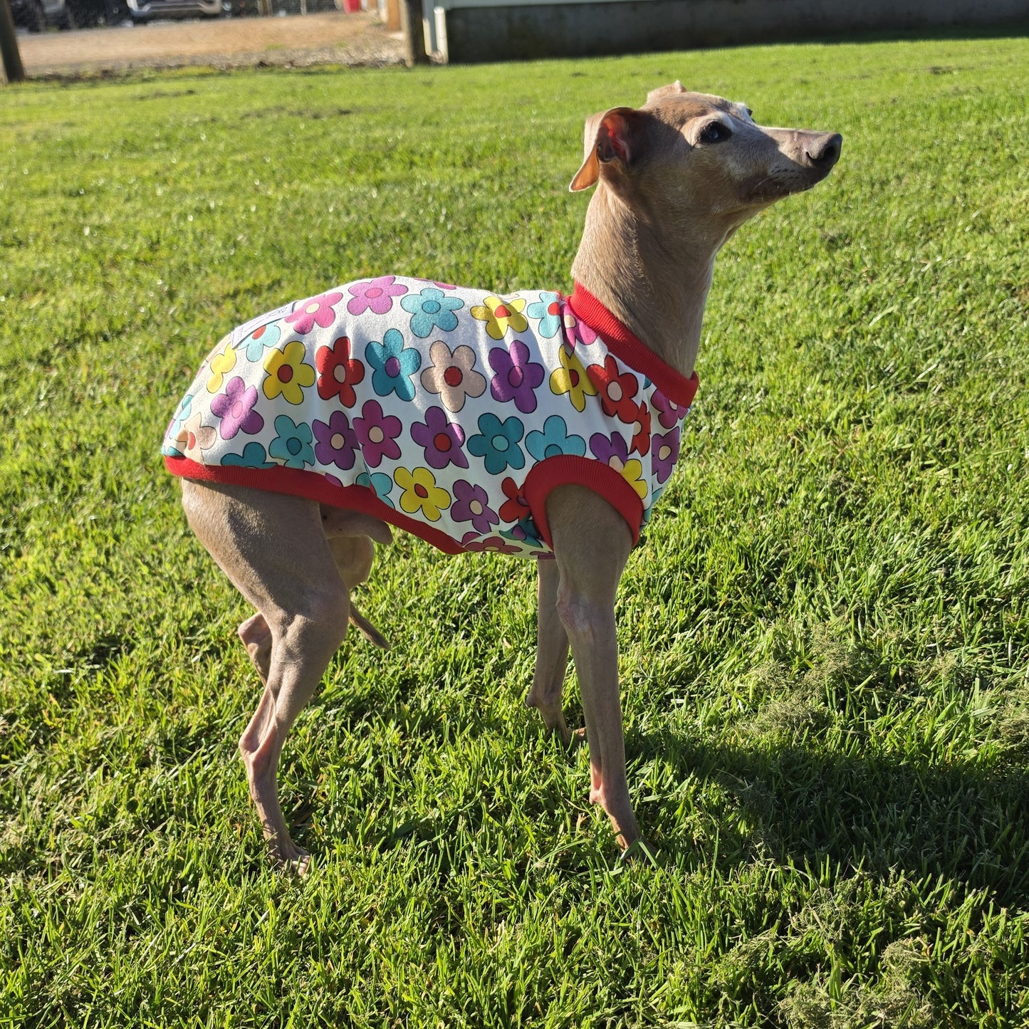 Spring Burst Cotton Spandex Rashie Vest