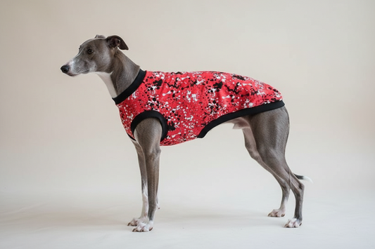 Street Splash, Red Edition