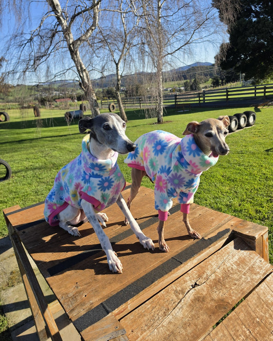 Spring Daisy Polar Fleece