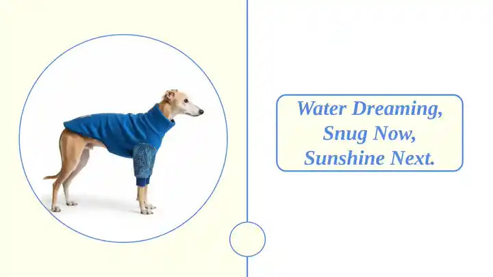 Water Dreaming, Snug now, Sunshine next. by@Outfy