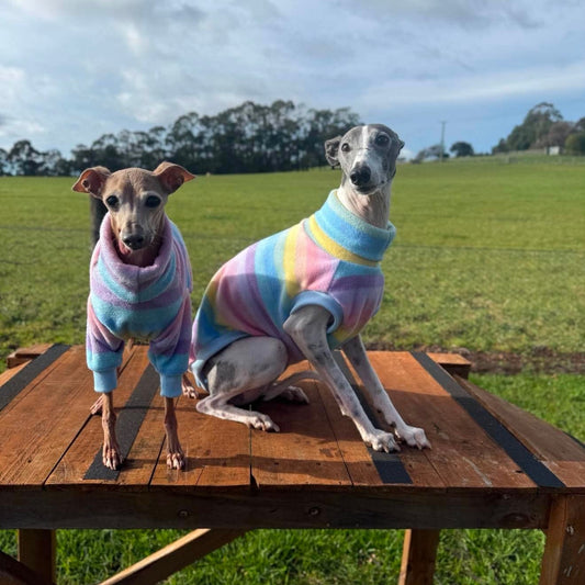 Pastel Parade Polar Fleece